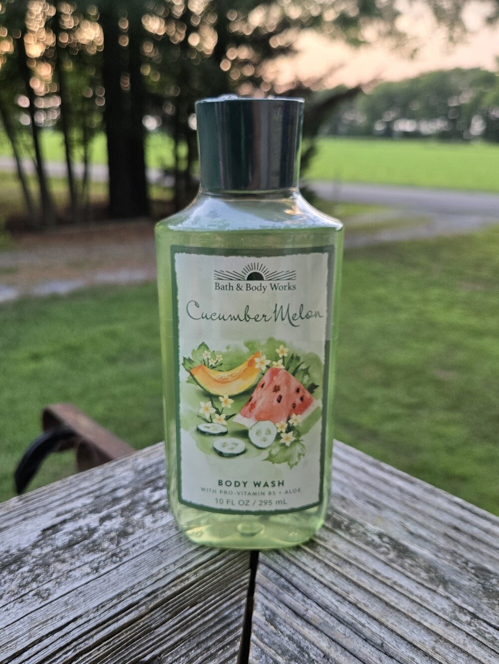 Bath & Body Works Cucumber Melon Body Wash - Light Green